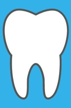 Root-canal-therapy-bicupid-tooth
